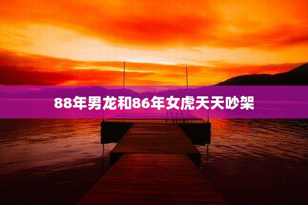 88年男龙和86年女虎天天吵架