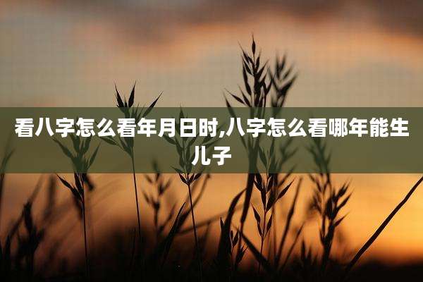 看八字怎么看年月日时,八字怎么看哪年能生儿子