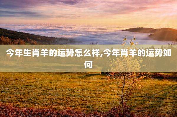 今年生肖羊的运势怎么样,今年肖羊的运势如何