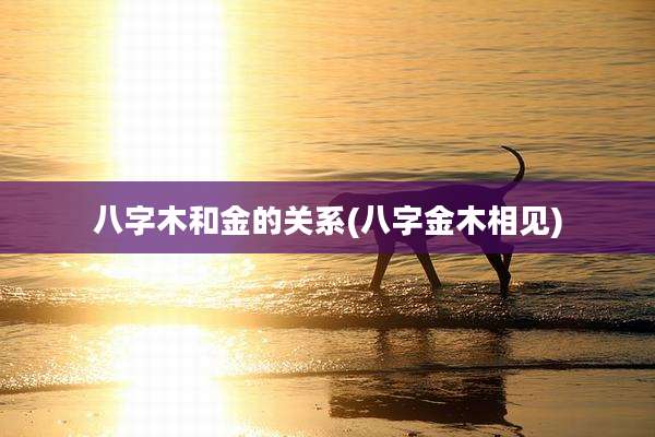 八字木和金的关系(八字金木相见)