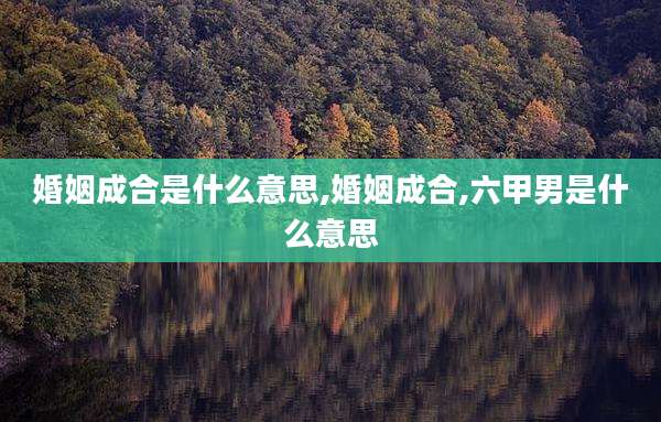 婚姻成合是什么意思,婚姻成合,六甲男是什么意思