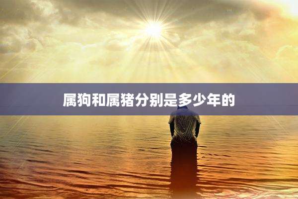 属狗和属猪分别是多少年的