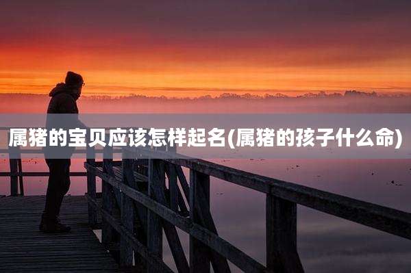属猪的宝贝应该怎样起名(属猪的孩子什么命)