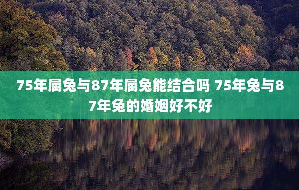 75年属兔与87年属兔能结合吗 75年兔与87年兔的婚姻好不好