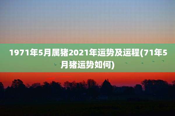 1971年5月属猪2021年运势及运程(71年5月猪运势如何)