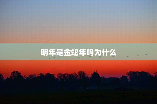 明年是金蛇年吗为什么