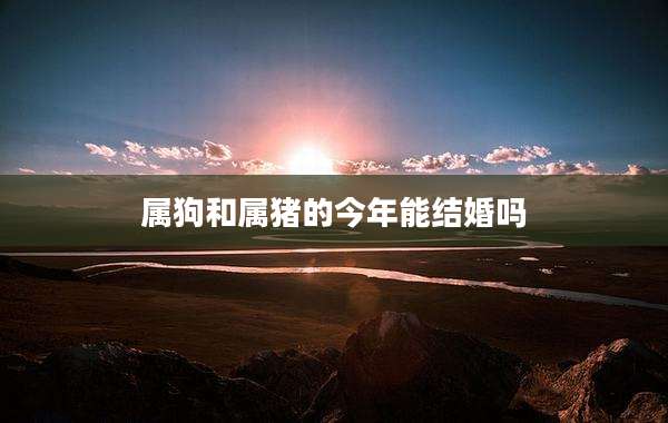 属狗和属猪的今年能结婚吗