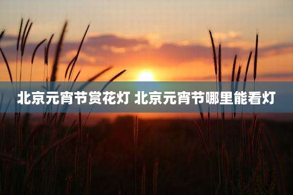 北京元宵节赏花灯 北京元宵节哪里能看灯