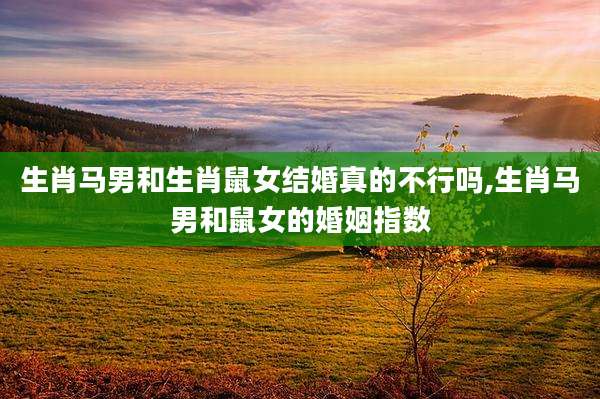 生肖马男和生肖鼠女结婚真的不行吗,生肖马男和鼠女的婚姻指数