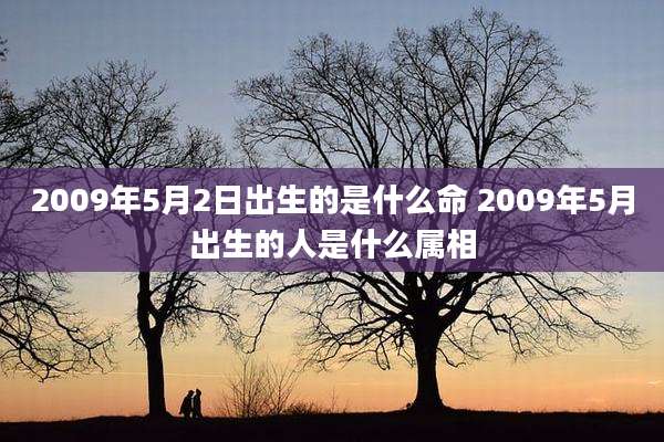 2009年5月2日出生的是什么命 2009年5月出生的人是什么属相