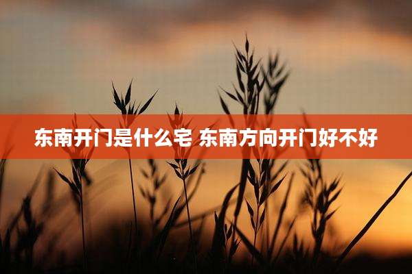 东南开门是什么宅 东南方向开门好不好