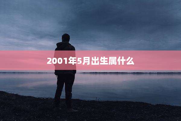 2001年5月出生属什么