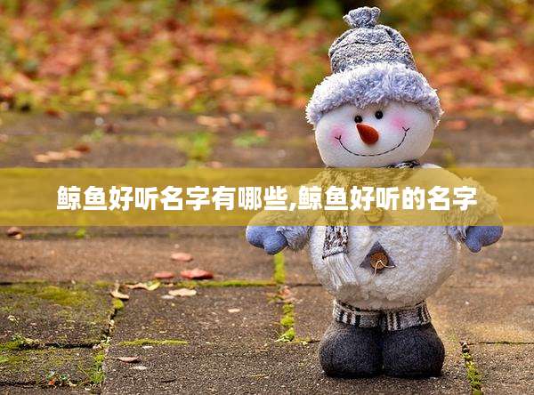 鲸鱼好听名字有哪些,鲸鱼好听的名字