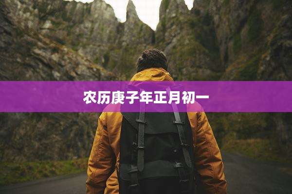 农历庚子年正月初一