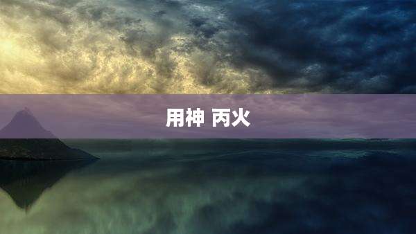 用神 丙火