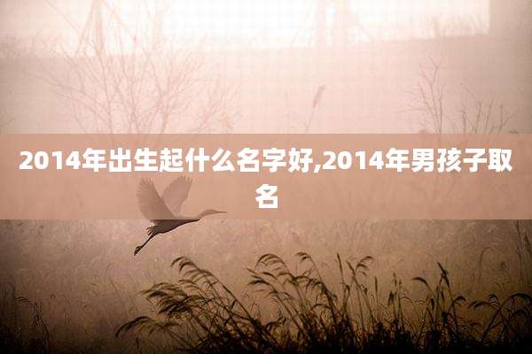 2014年出生起什么名字好,2014年男孩子取名