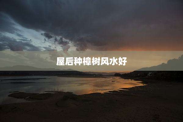 屋后种樟树风水好