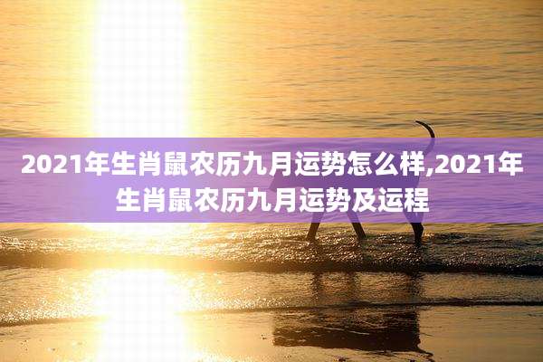 2021年生肖鼠农历九月运势怎么样,2021年生肖鼠农历九月运势及运程