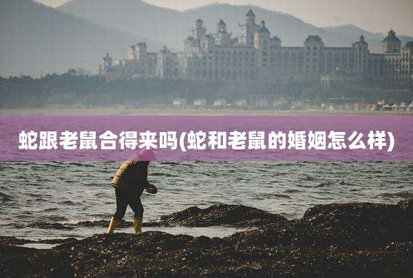 蛇跟老鼠合得来吗(蛇和老鼠的婚姻怎么样)