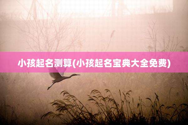 小孩起名测算(小孩起名宝典大全免费)