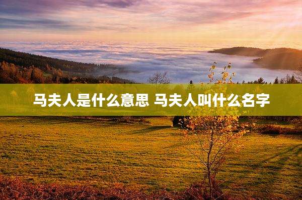 马夫人是什么意思 马夫人叫什么名字