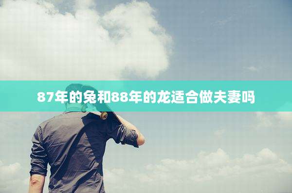 87年的兔和88年的龙适合做夫妻吗