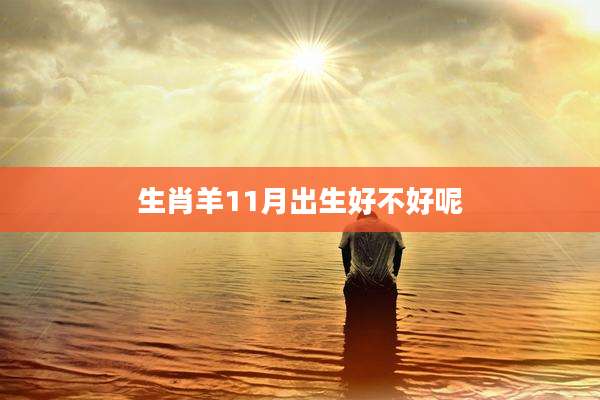 生肖羊11月出生好不好呢