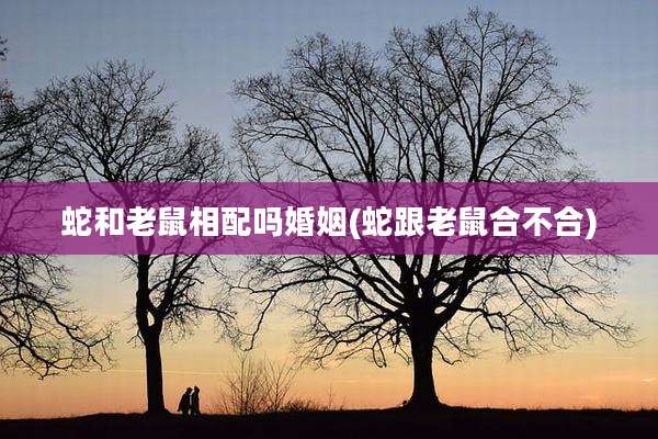 蛇和老鼠相配吗婚姻(蛇跟老鼠合不合)