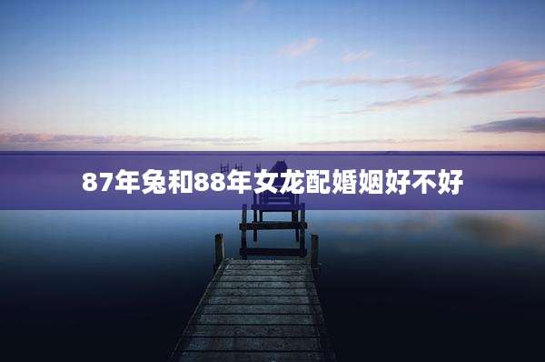 87年兔和88年女龙配婚姻好不好