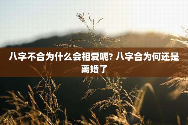 八字不合为什么会相爱呢? 八字合为何还是离婚了