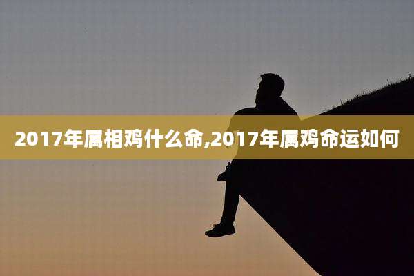 2017年属相鸡什么命,2017年属鸡命运如何