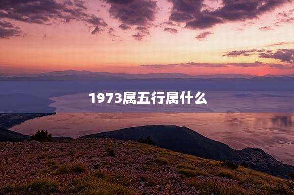 1973属五行属什么