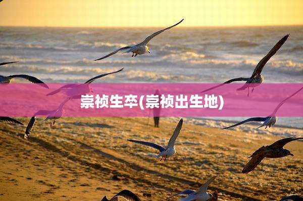 崇祯生卒(崇祯出生地)