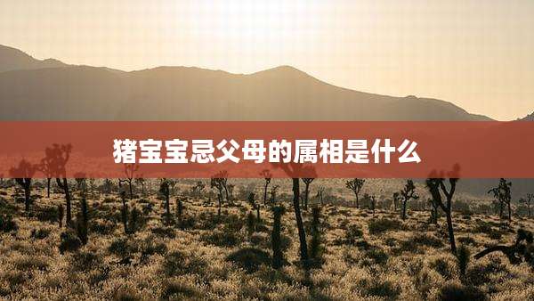 猪宝宝忌父母的属相是什么