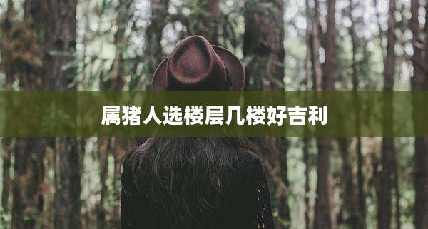 属猪人选楼层几楼好吉利