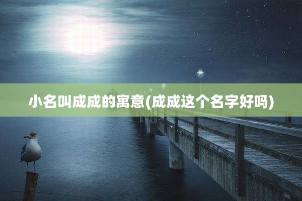 小名叫成成的寓意(成成这个名字好吗)