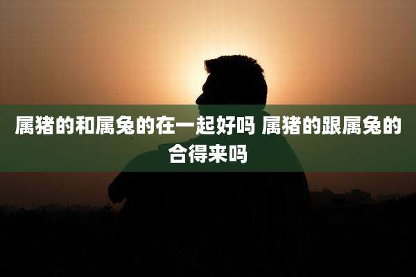 属猪的和属兔的在一起好吗 属猪的跟属兔的合得来吗