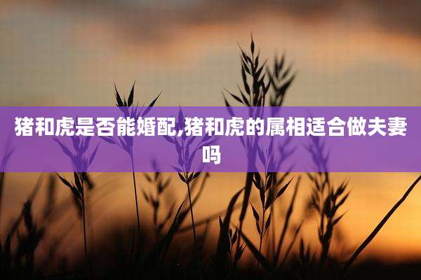猪和虎是否能婚配,猪和虎的属相适合做夫妻吗