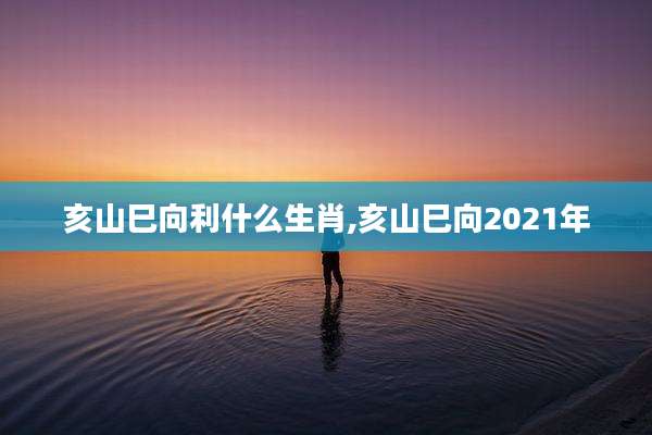 亥山巳向利什么生肖,亥山巳向2021年
