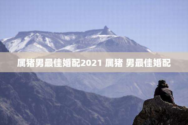 属猪男最佳婚配2021 属猪 男最佳婚配