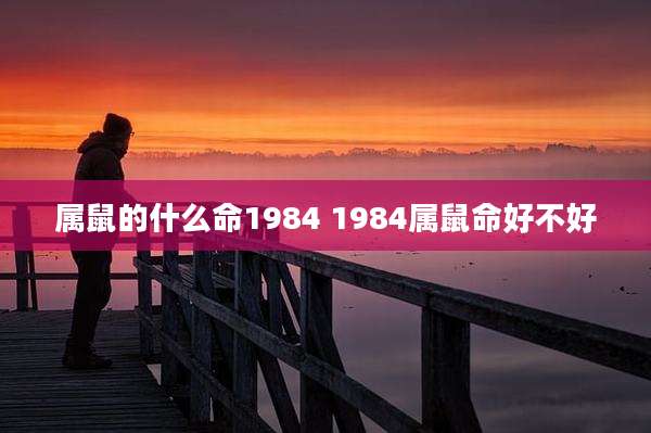 属鼠的什么命1984 1984属鼠命好不好