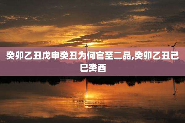 癸卯乙丑戊申癸丑为何官至二品,癸卯乙丑己巳癸酉