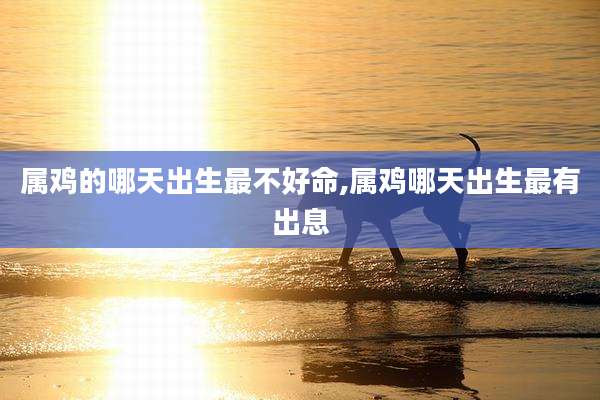 属鸡的哪天出生最不好命,属鸡哪天出生最有出息