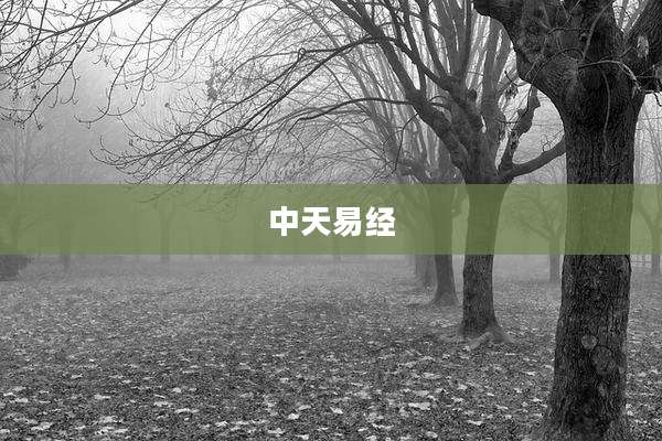 中天易经