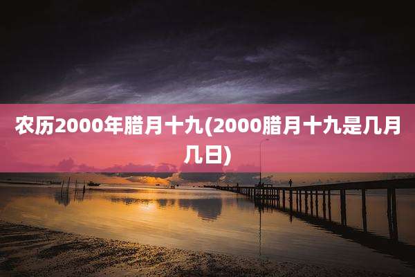 农历2000年腊月十九(2000腊月十九是几月几日)