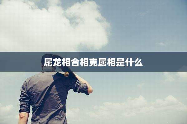 属龙相合相克属相是什么