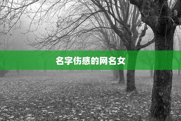 名字伤感的网名女