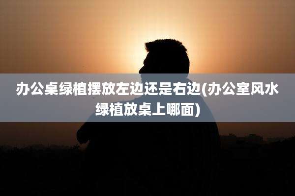 办公桌绿植摆放左边还是右边(办公室风水绿植放桌上哪面)