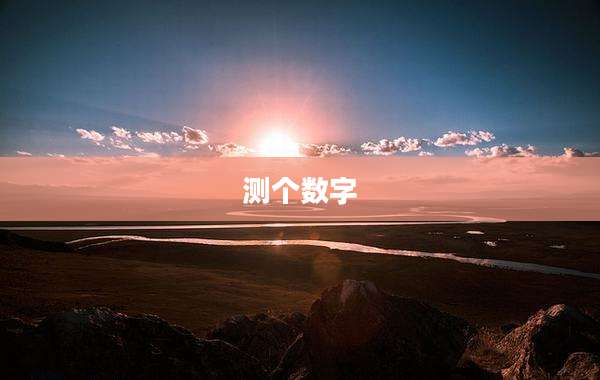 测个数字