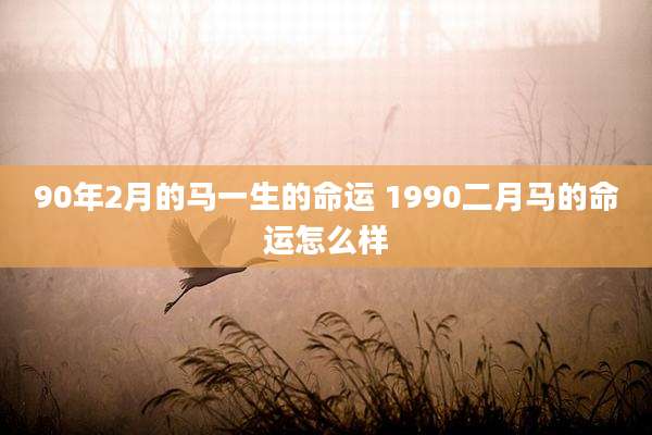 90年2月的马一生的命运 1990二月马的命运怎么样